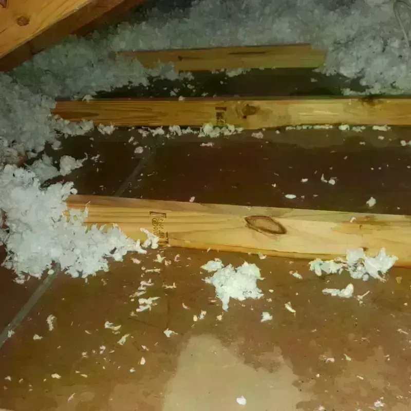 Attic Water Damage in Cobden, IL